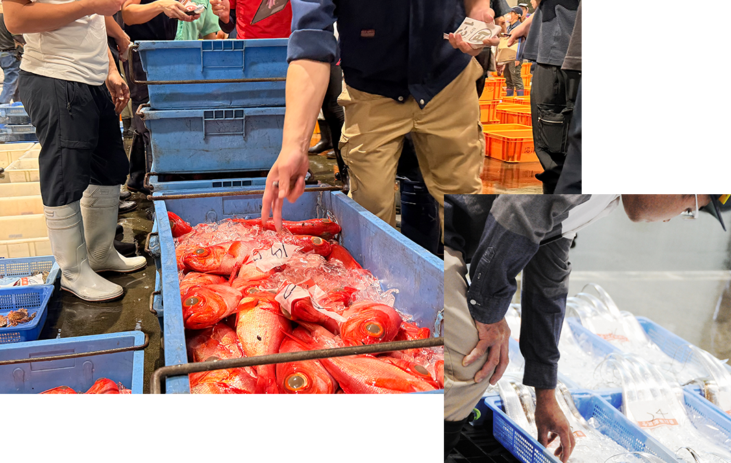 厳選された魚介類