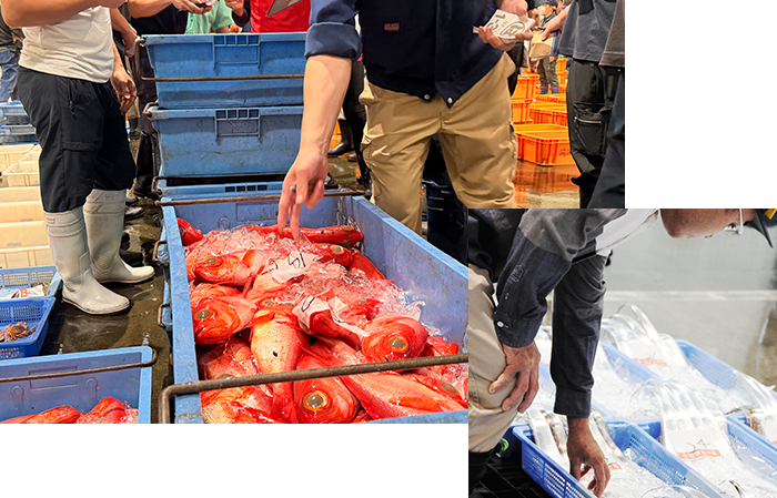 厳選された魚介類
